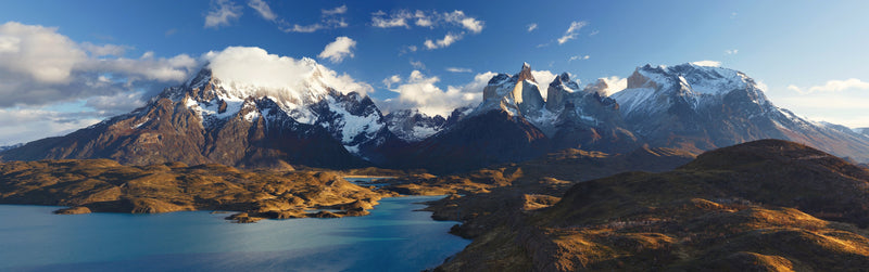 From Patagonia to Plate: Why Patagonian Lamb Stands Out - WorldClass