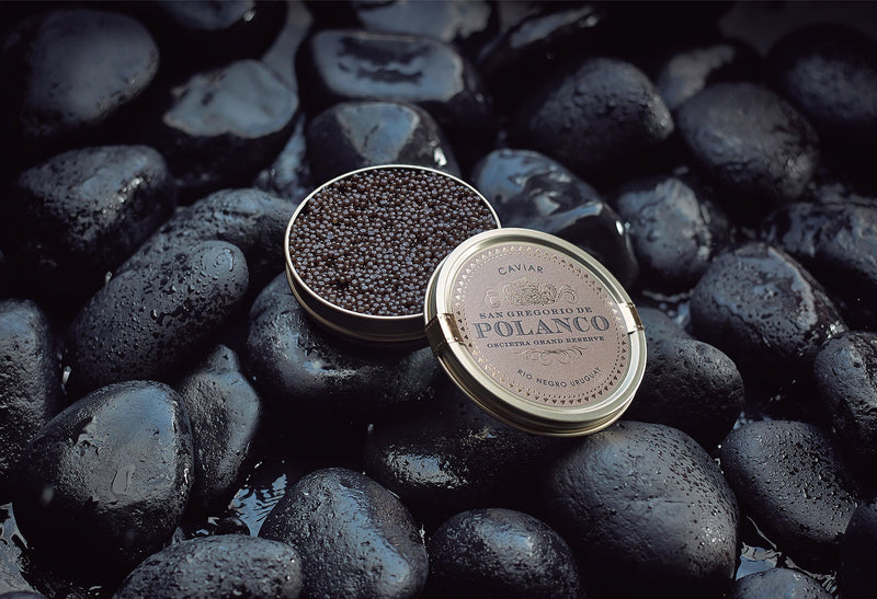 Polanco Caviar: Siberian Sturgeon from Uruguay's Rio Negro - WorldClass