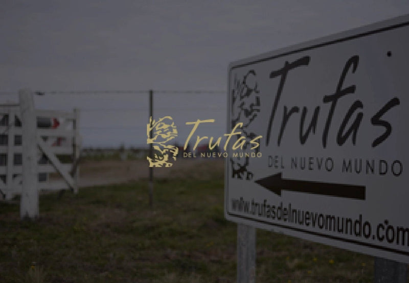 Trufas del Nuevo Mundo - WorldClass