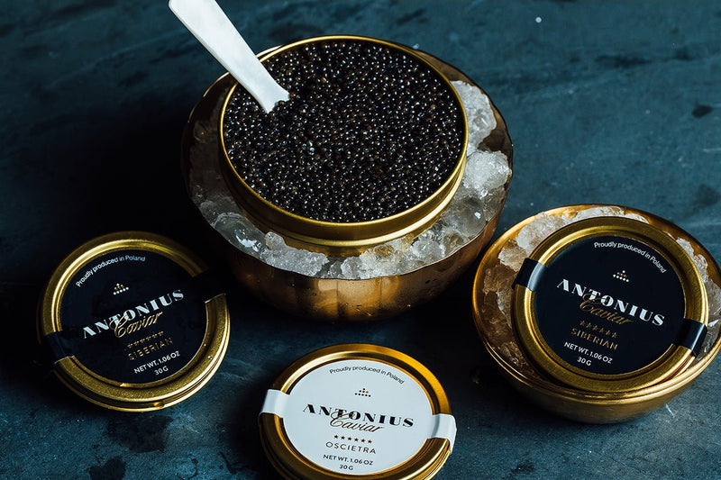 What Fish Does Caviar Come From? Understanding the 8 Main Caviar Fish - WorldClass