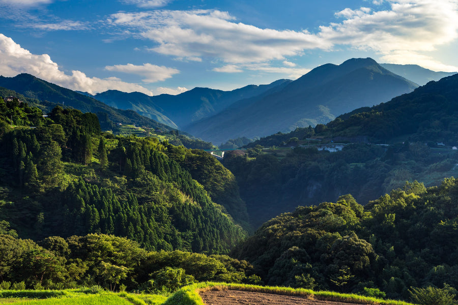Miyazaki Prefecture