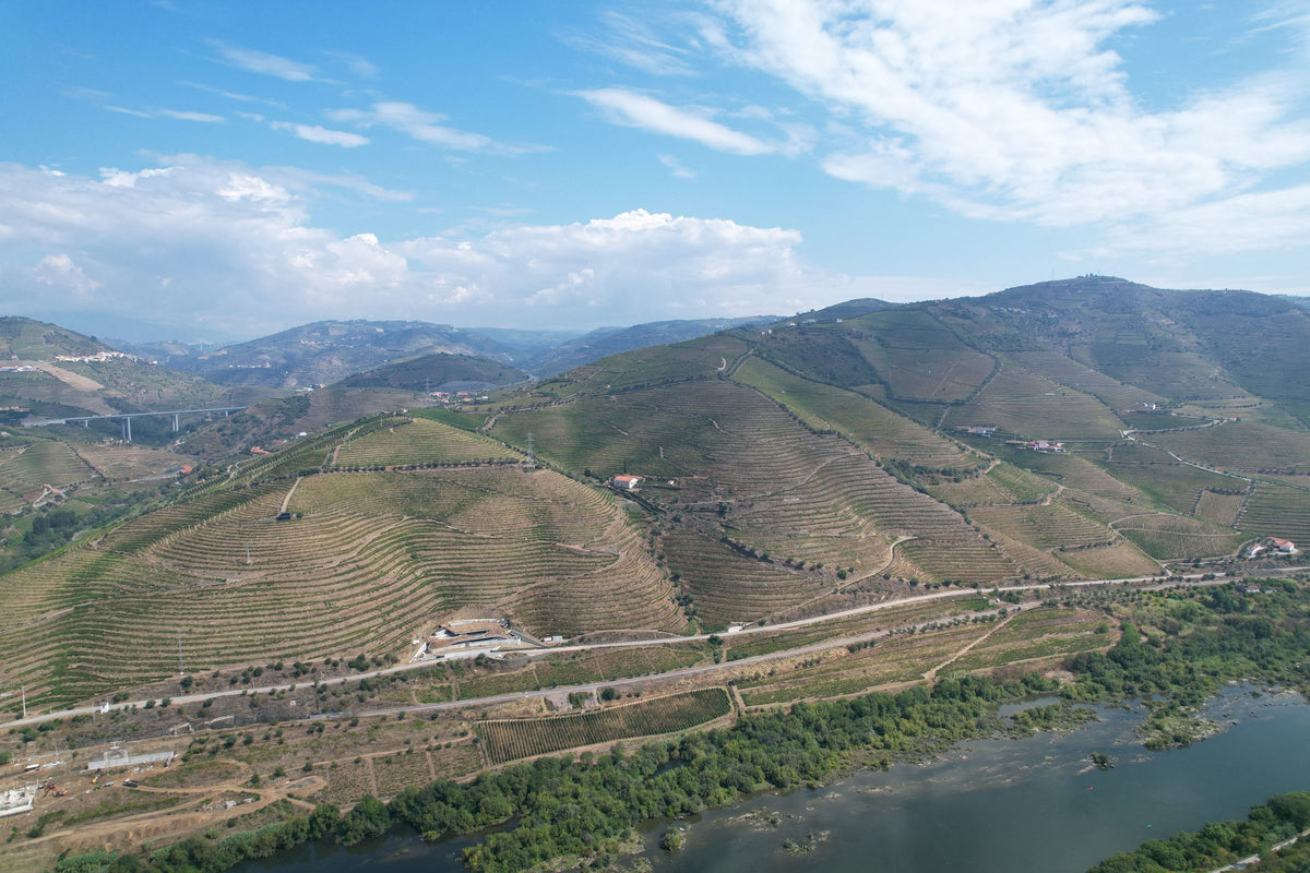 Selo de Mar, Portugal